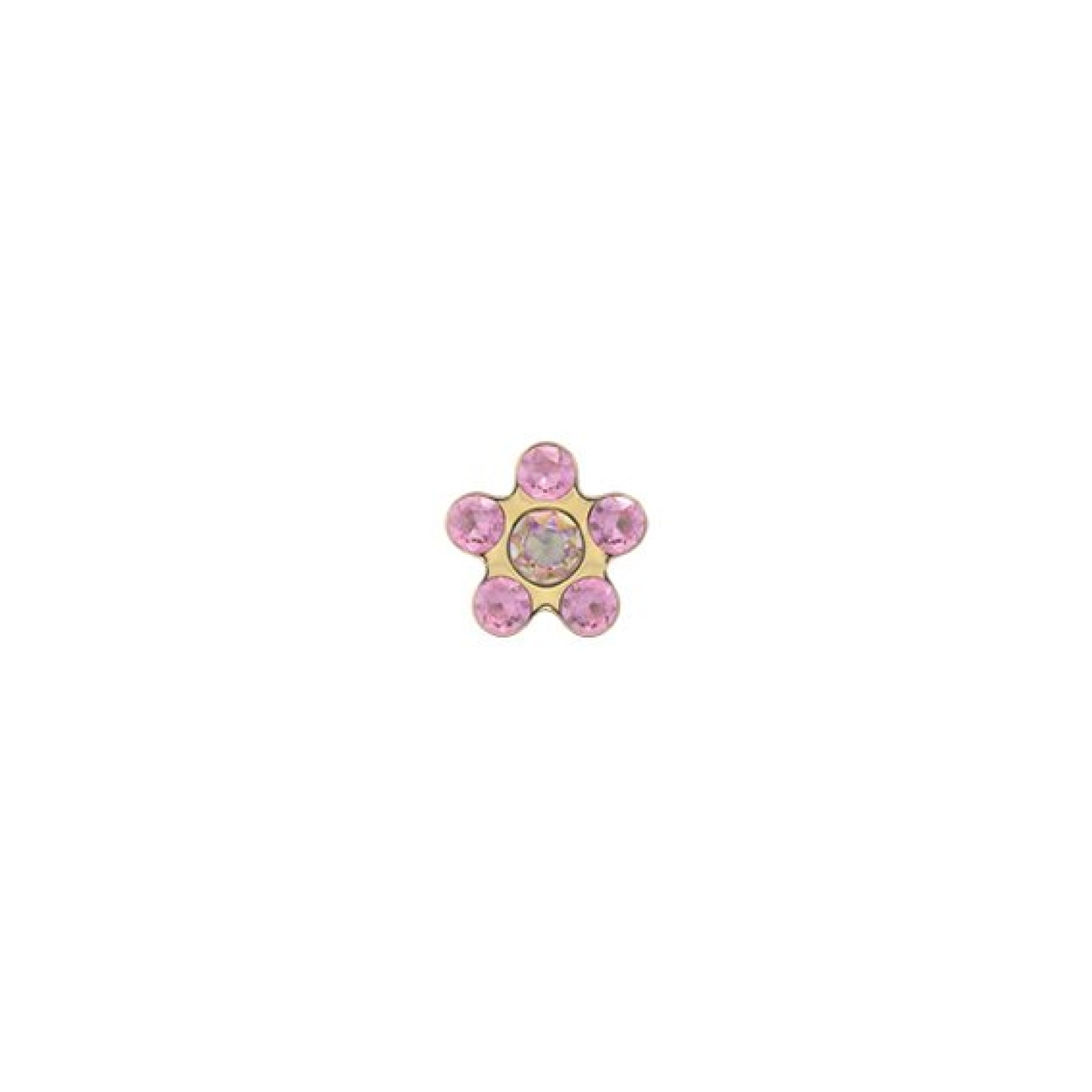 251 251