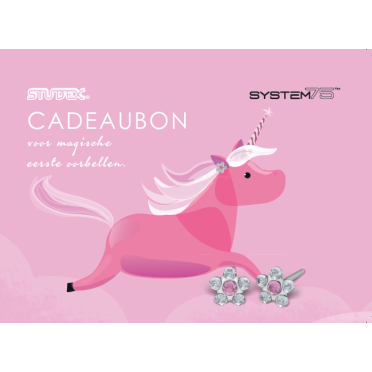 STUDEX® cadeaubon (25 stuks) - NL