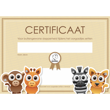 STUDEX dapperheidscertificaten (25  stuks) - NL